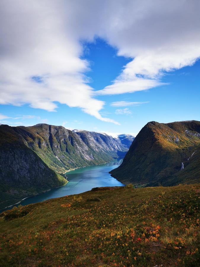 Bjorkelia Lodge Vassenden ภายนอก รูปภาพ