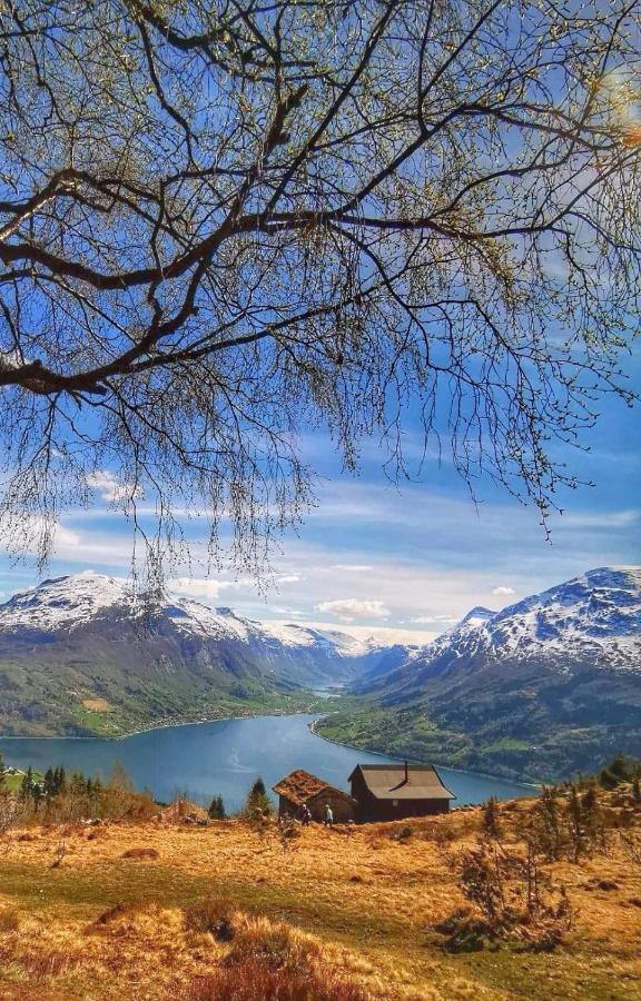 Bjorkelia Lodge Vassenden ภายนอก รูปภาพ